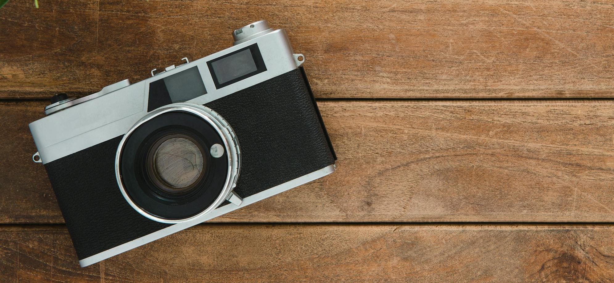 Retro camera and potted plant on wooden surface with copy space.